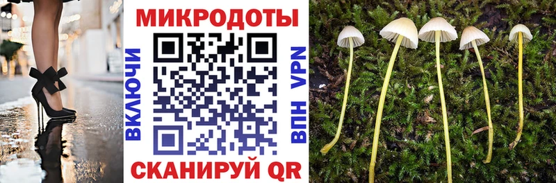 купить наркотики сайты Луховицы Галлюциногенные грибы прущие грибы